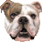 Bullmama DeLano